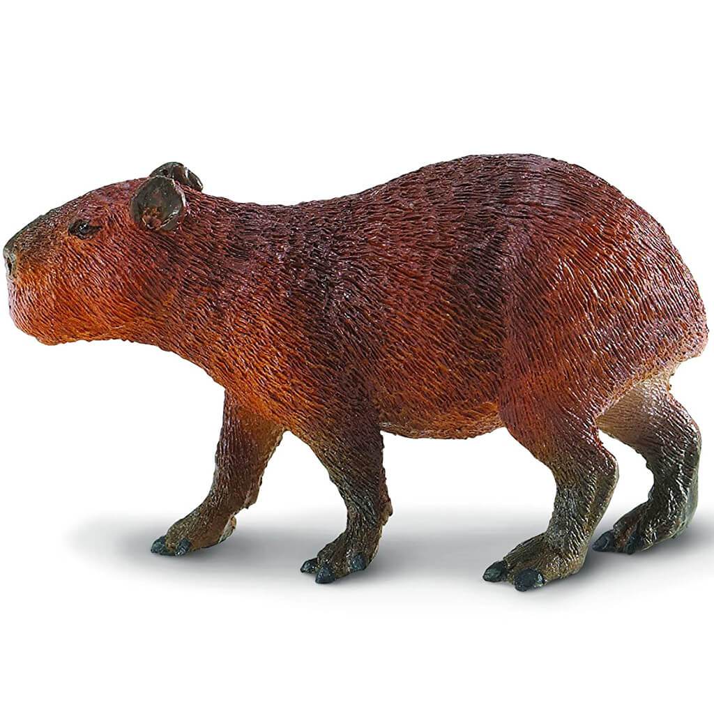 Capybara