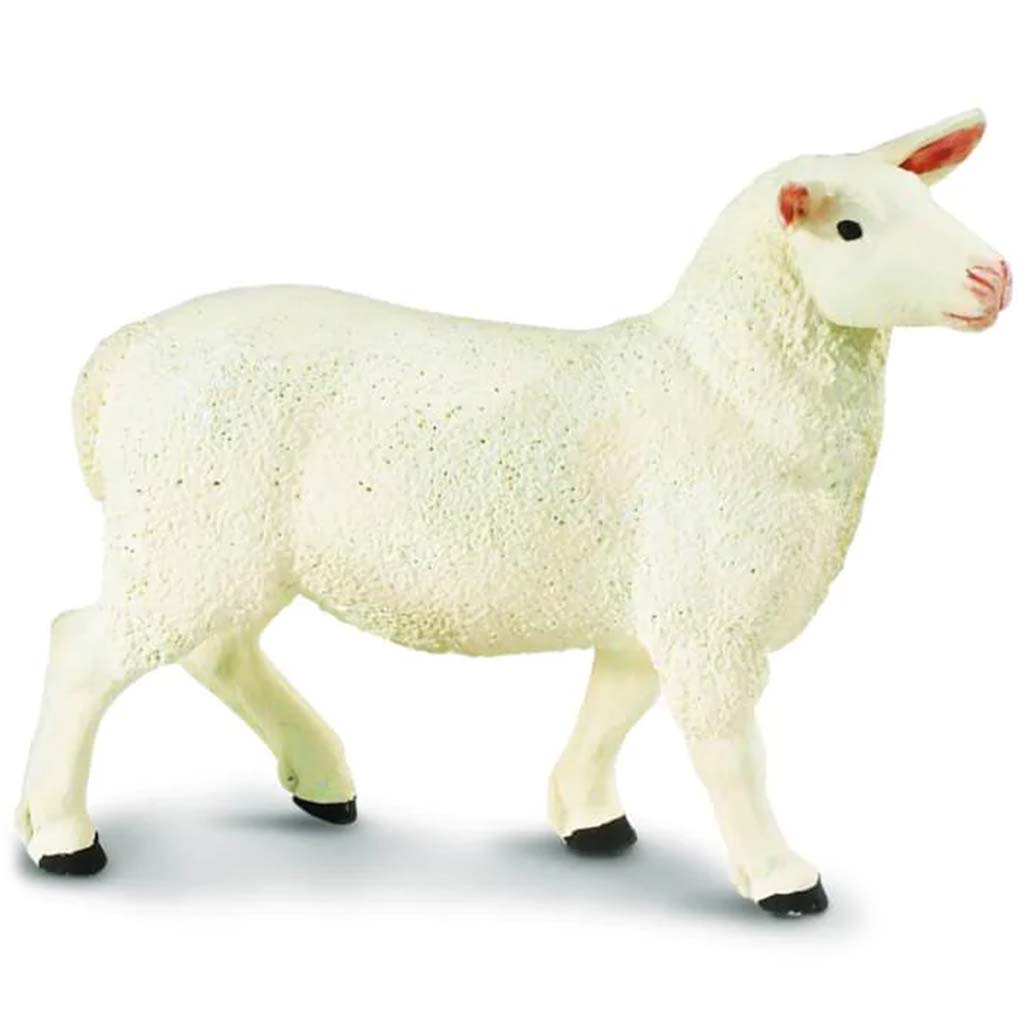 Ewe 