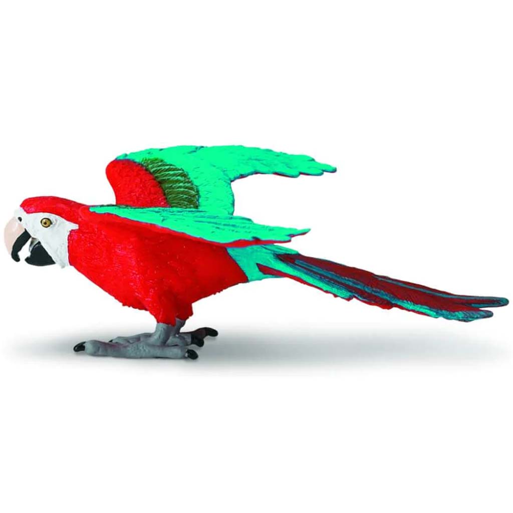 Green-Winged Macaw 