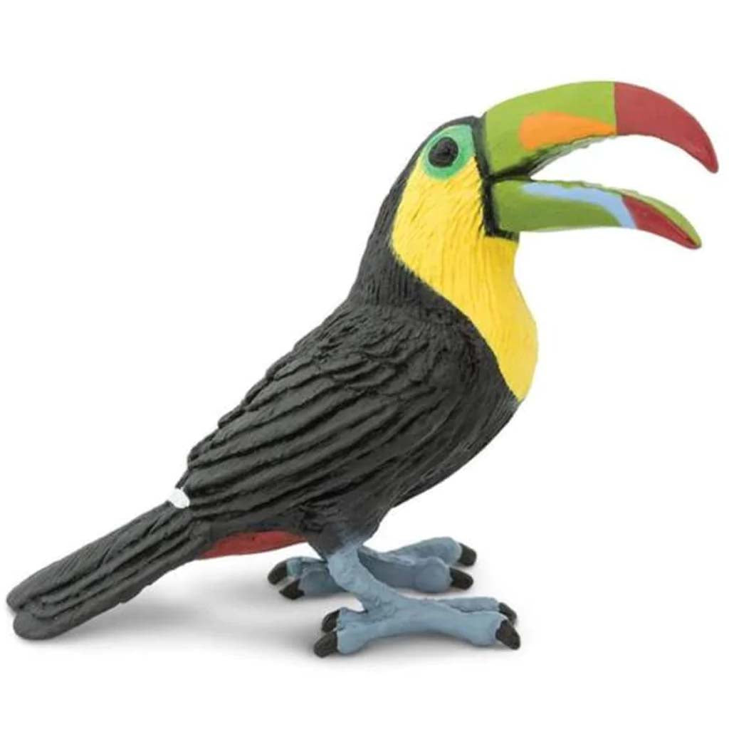 Toucan 