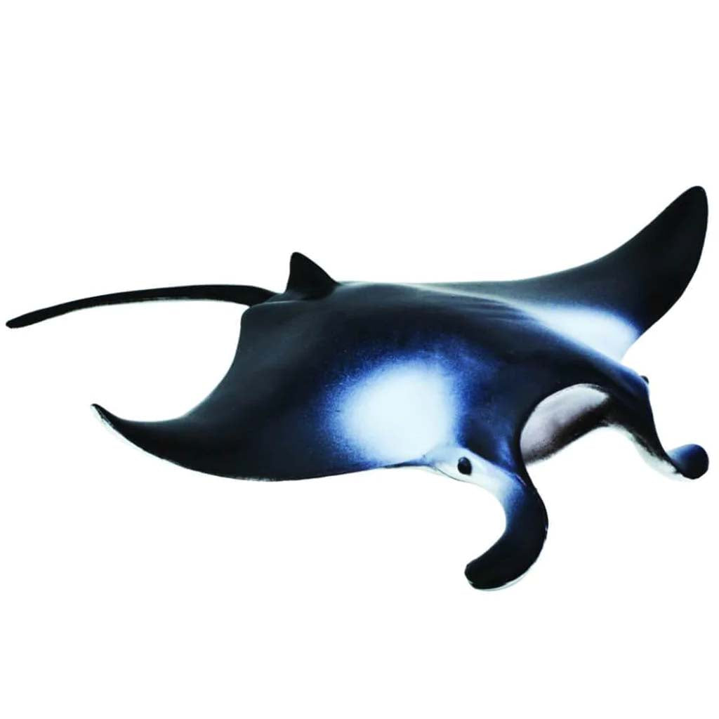 Manta Ray 