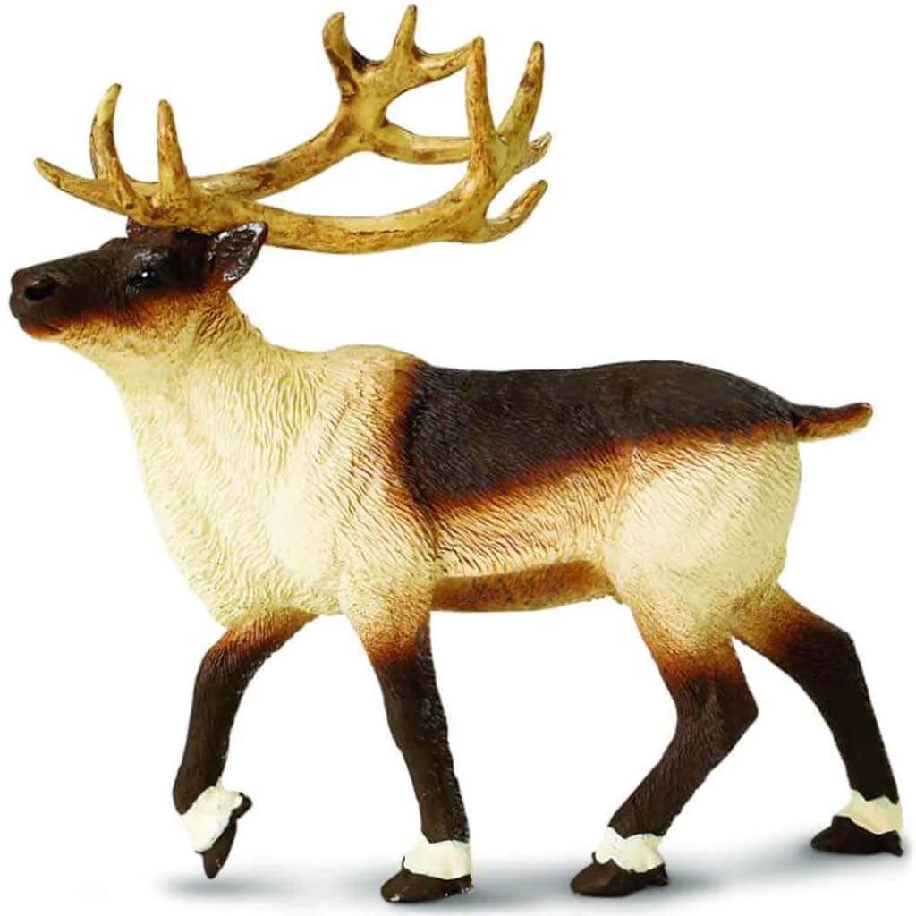 Reindeer 