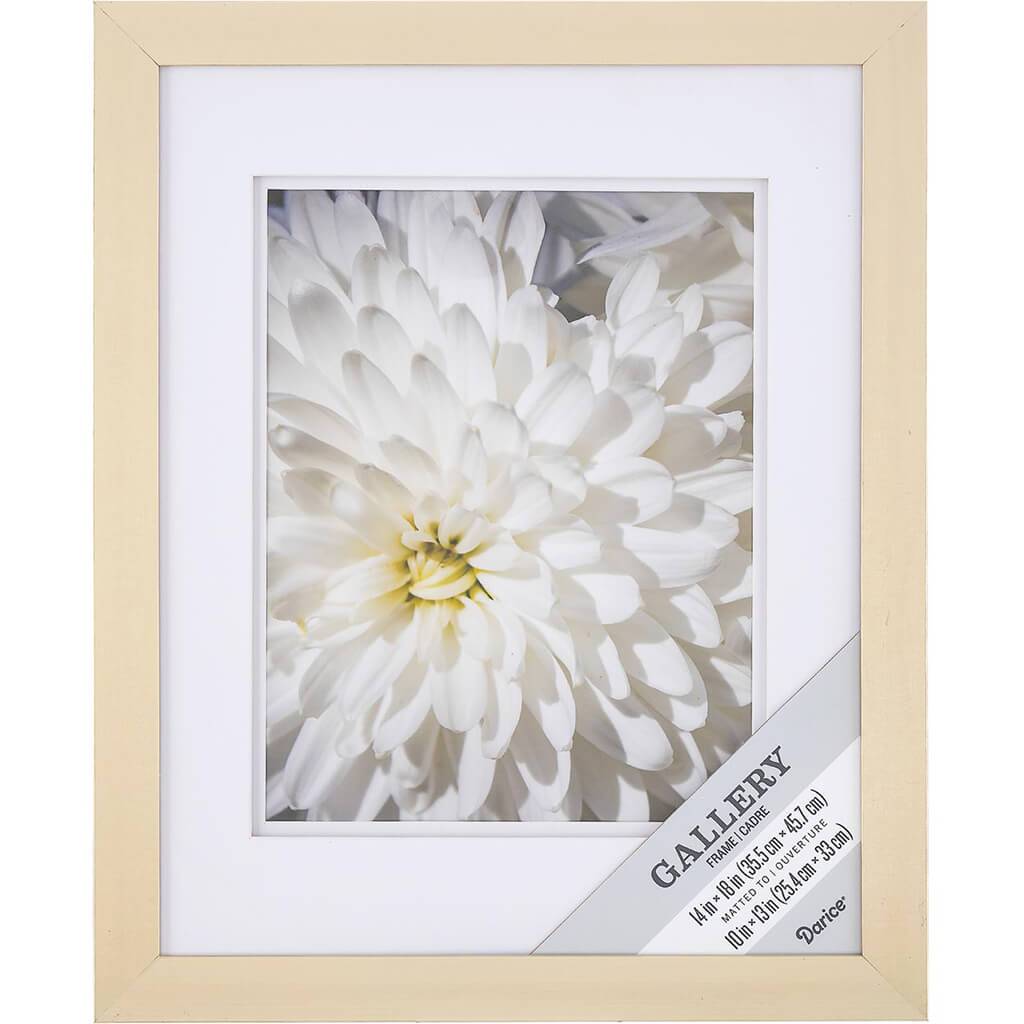 14 x 18 Gallery Picture Frame: White/Champagne, 16 x 20 inches