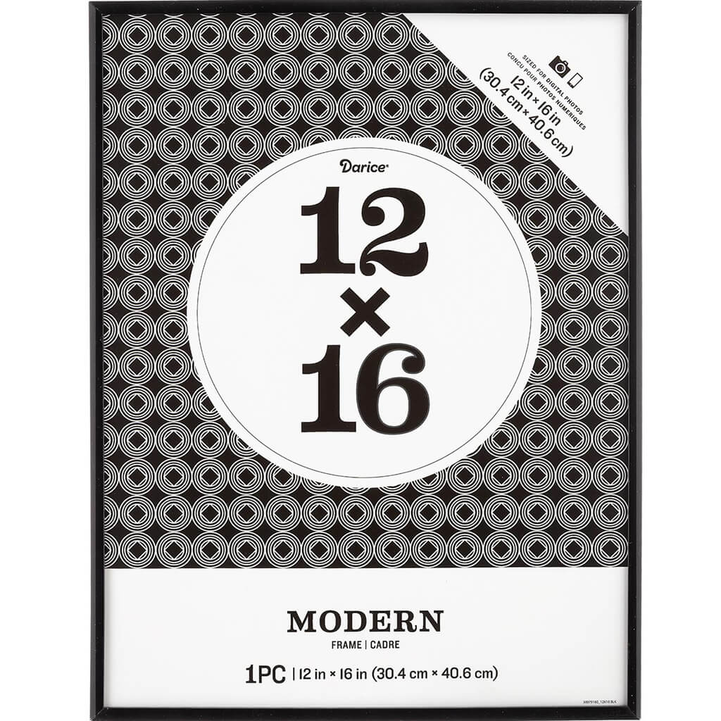 12 x 16 Picture Frame: Black, 12.31 x 18.31 inches