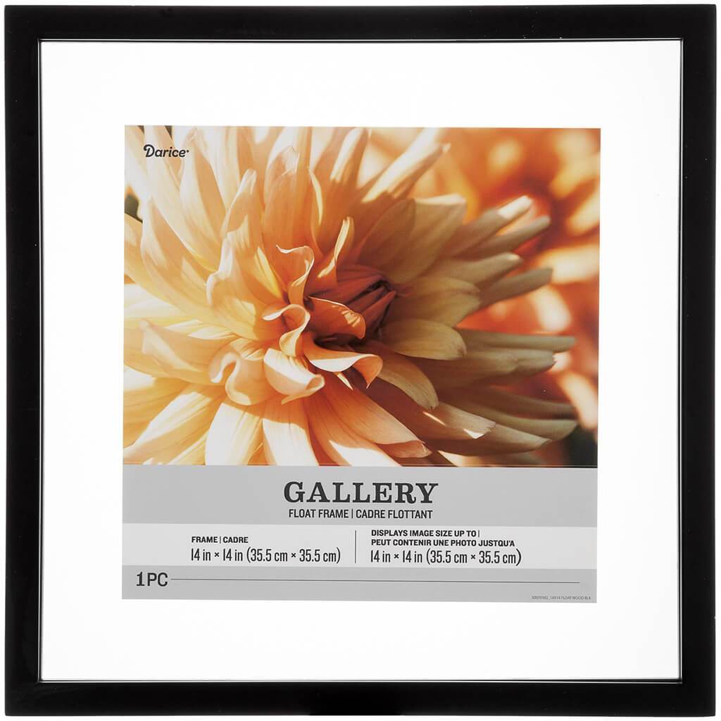 14 x 14 Float Picture Frame: Black, 15.02 x 15 inches