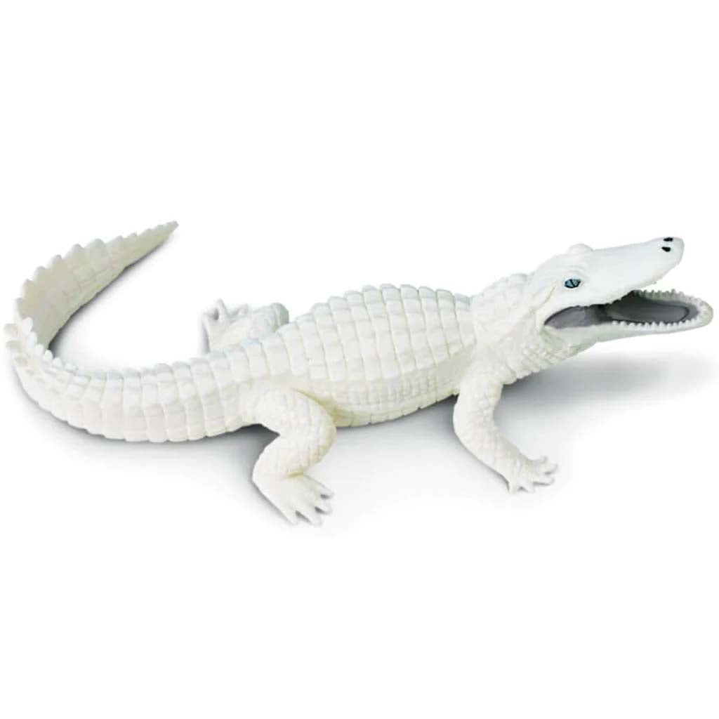 White Alligator 