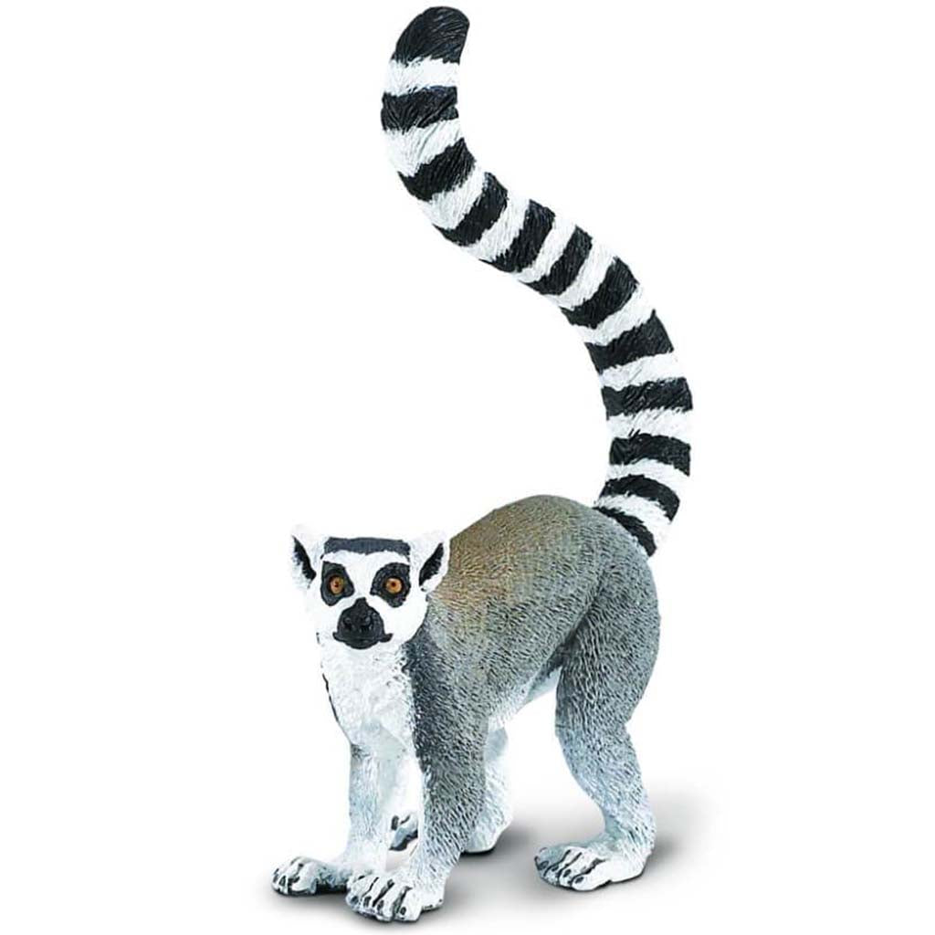 Ring-Tailed Lemur 