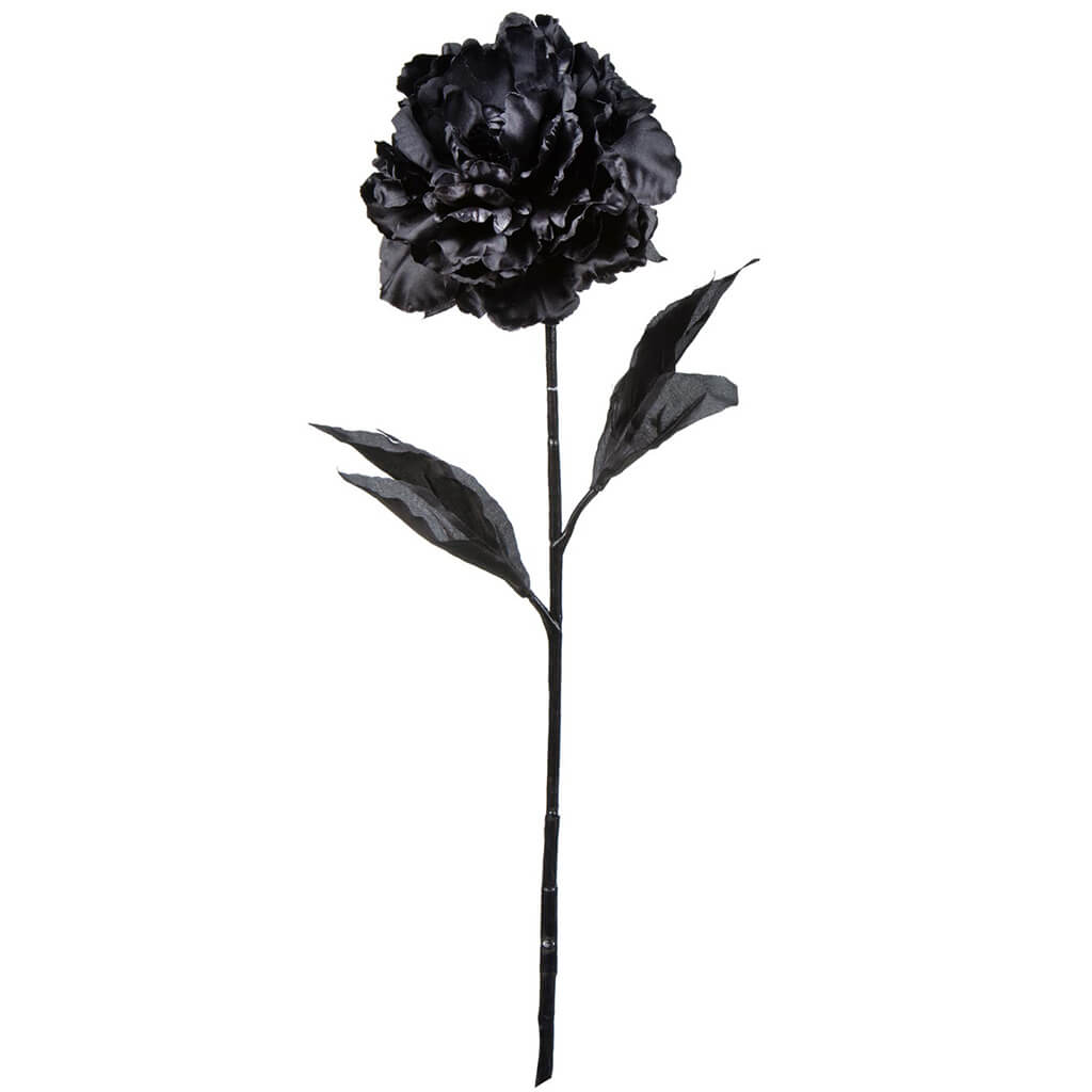 Single Peony Black 27in