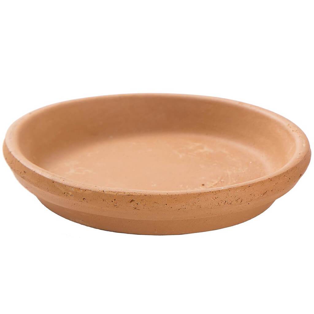 Planter Clay Saucer, 6in