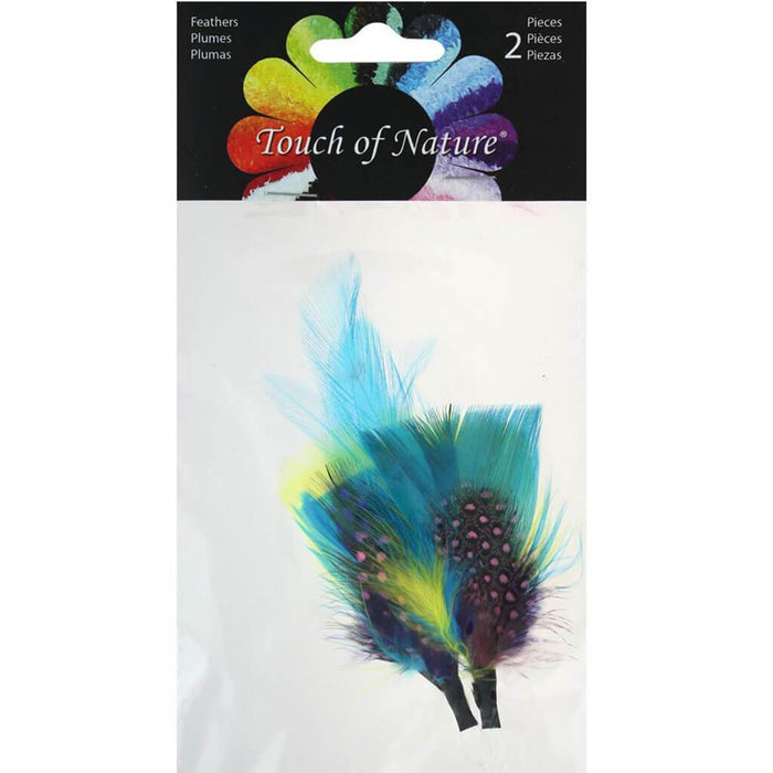 Feather Pick Assortment 5-6" Brights