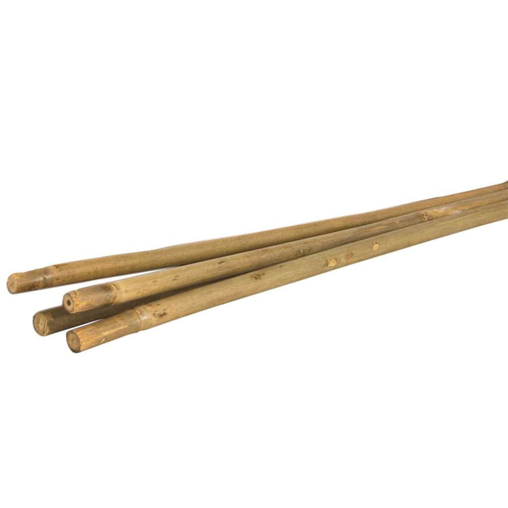 Bamboo 5ft Mix 4-Pack