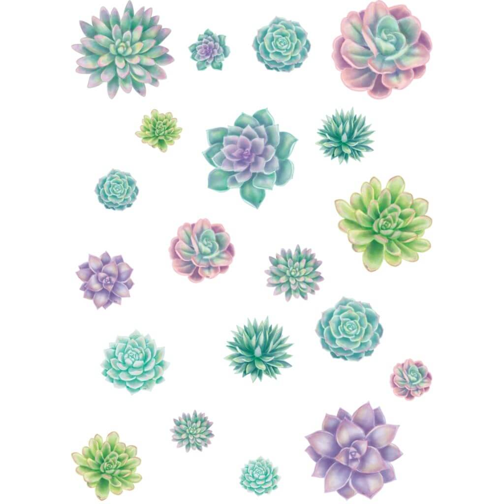 Rustic Bloom Succulent Accents Assorted Sizes