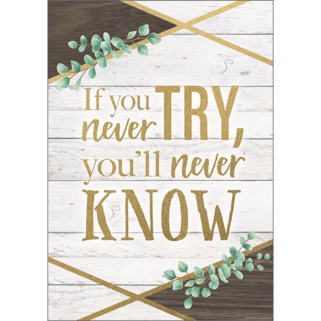 If You Never Try, You&#39;ll Never Know Positive Poster