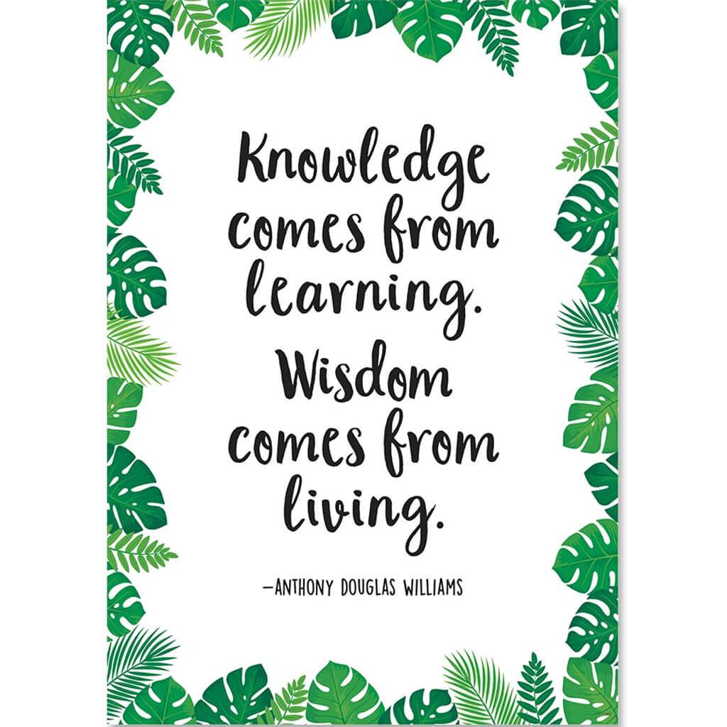 Knowledge comes from learning? Palm Paradise Inspire U Poster