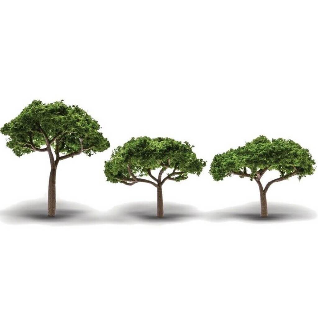 Canopy Trees 3/Pkg 2in - 3 1/2in