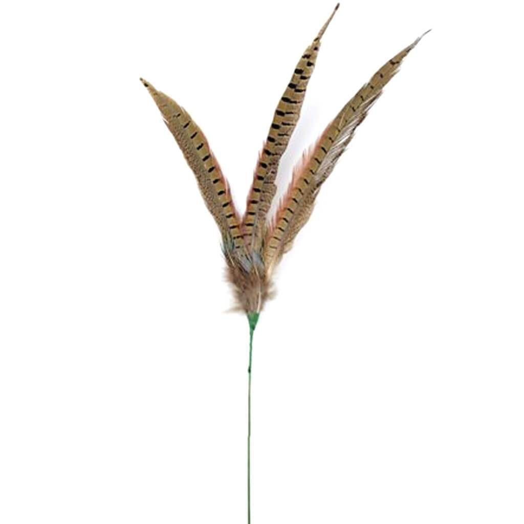 Pheasant Feather Stem 27in