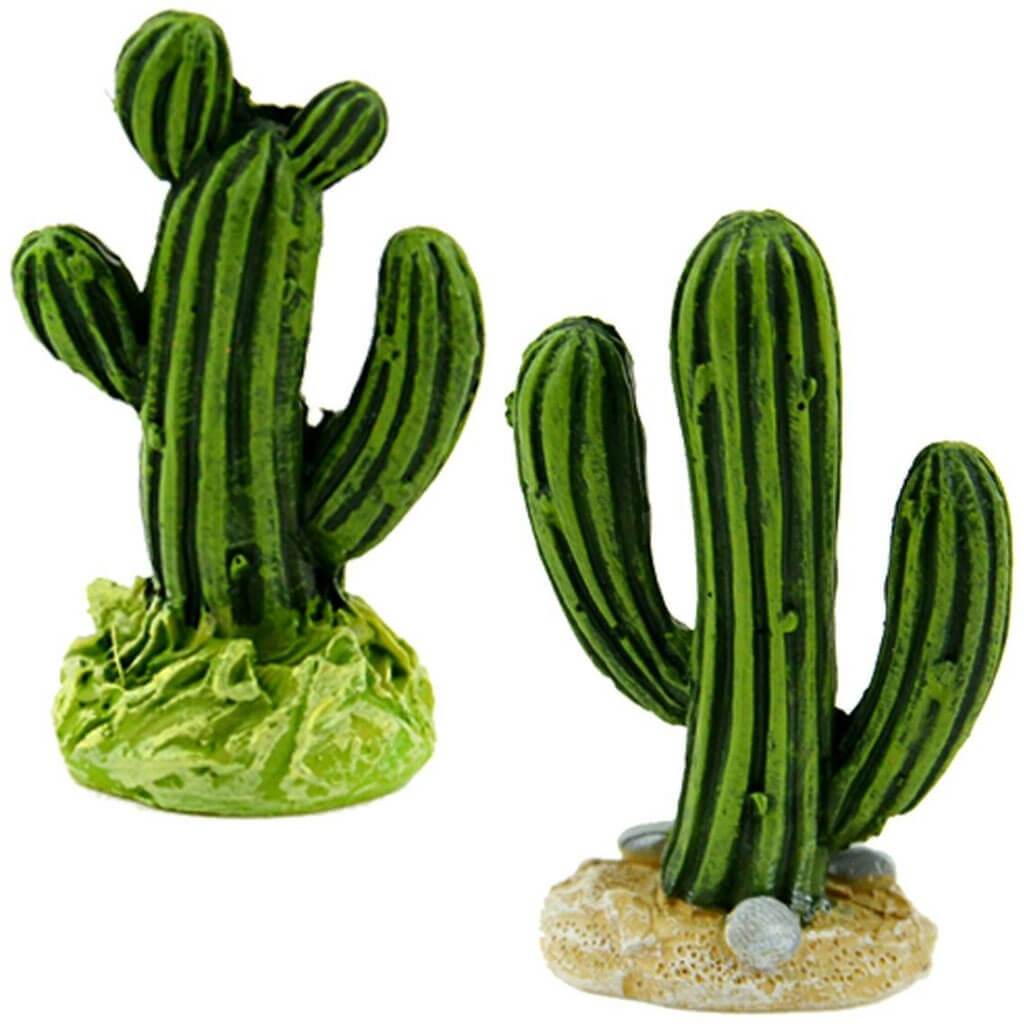 Cactus 2pc 1in