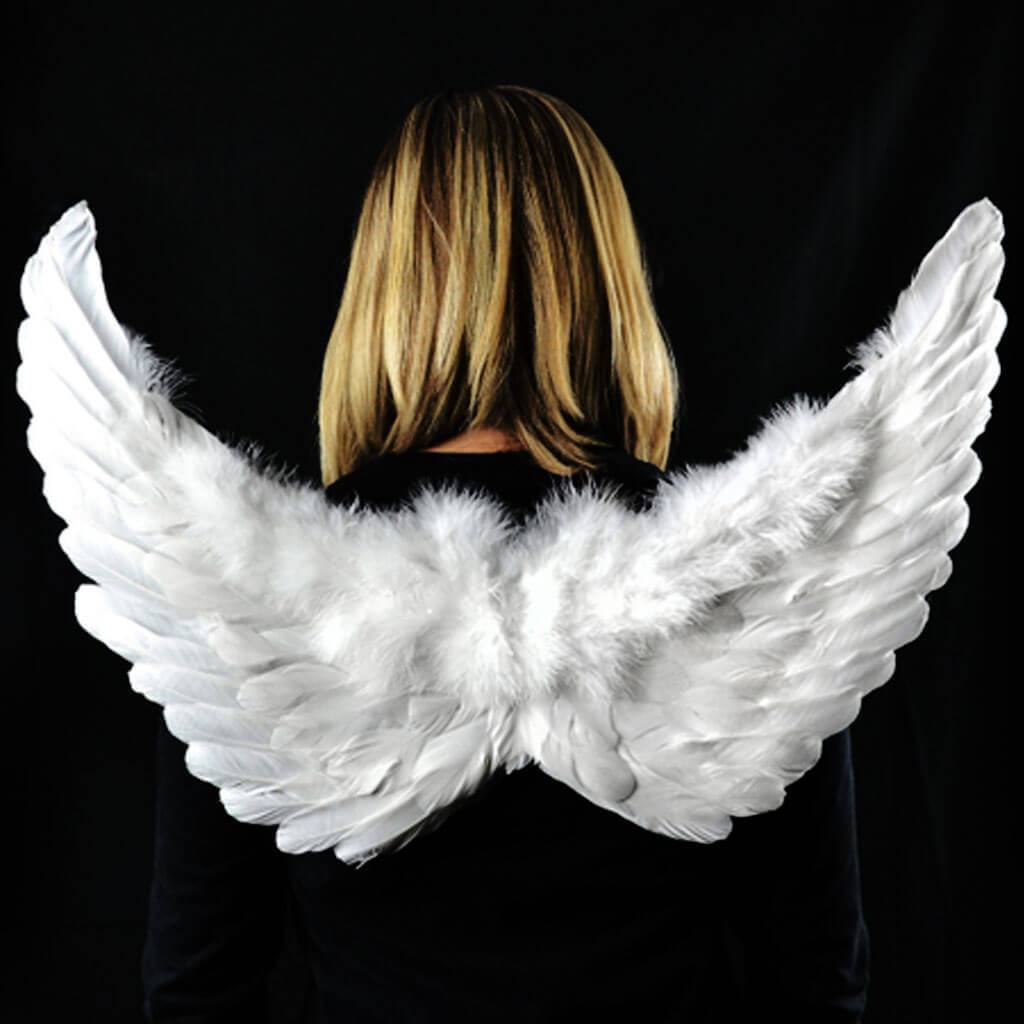 Feather Adult Angel Wing White 18in x 24in