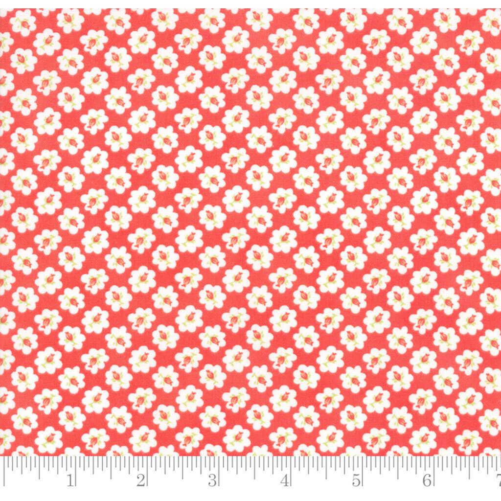 Catalina Lollipop Rosebud