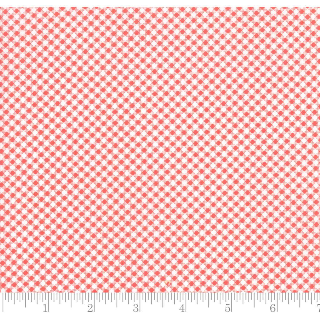 Catalina Lollipop Checkered