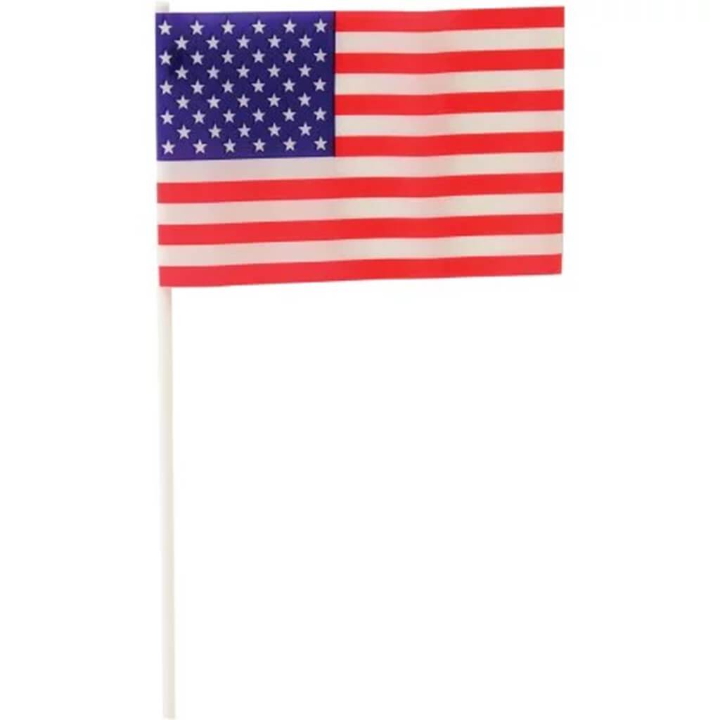 USA Flags 4in x 6in Plastic