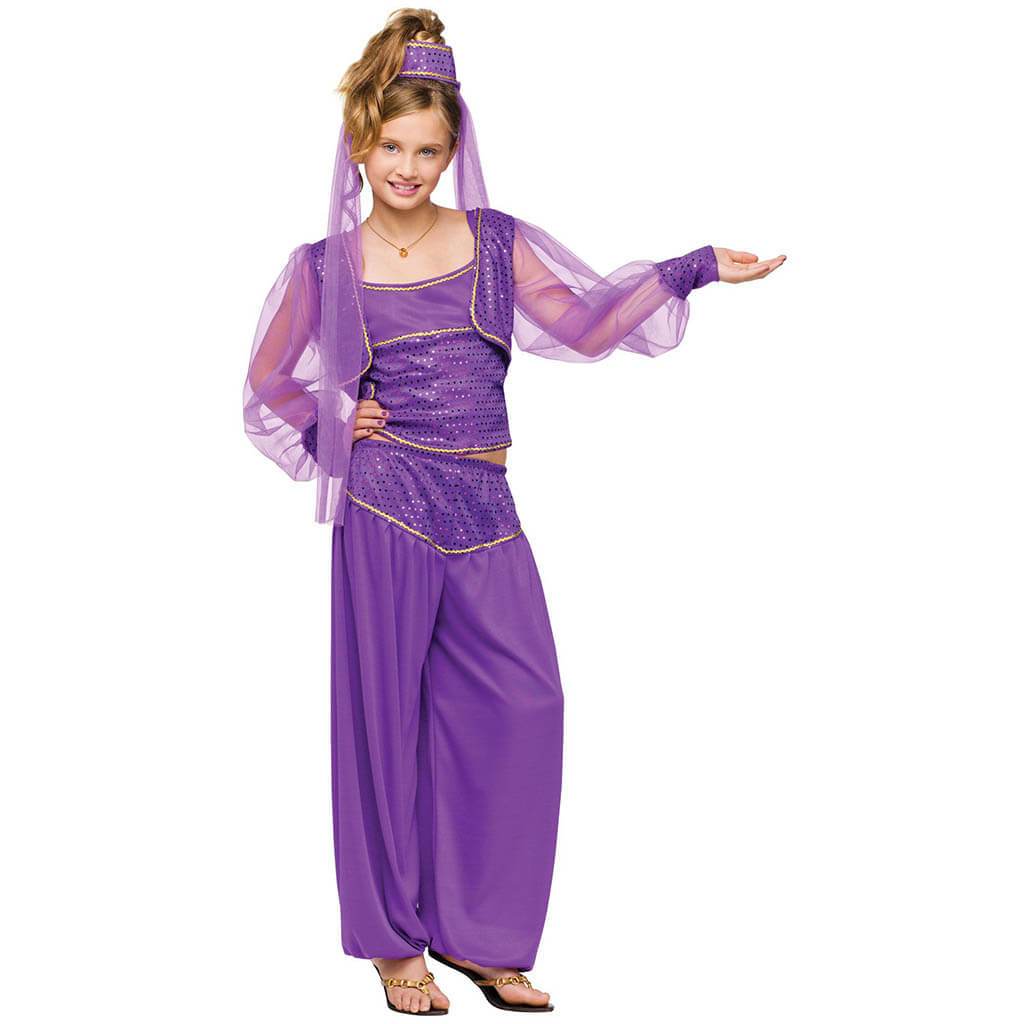 Dreamy Genie Costume