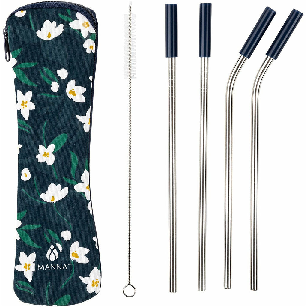 Stainless Steel With Tips And Cleaner Travel Kit