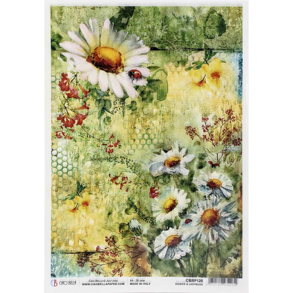 Rice Paper Sheet A4 5/Pkg Daisies &amp; Ladybugs