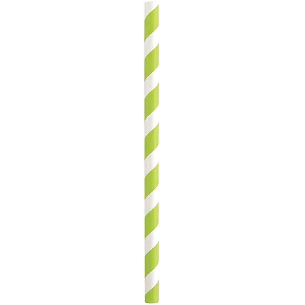 Striped Paper Smoothie Straws 10ct Assorted