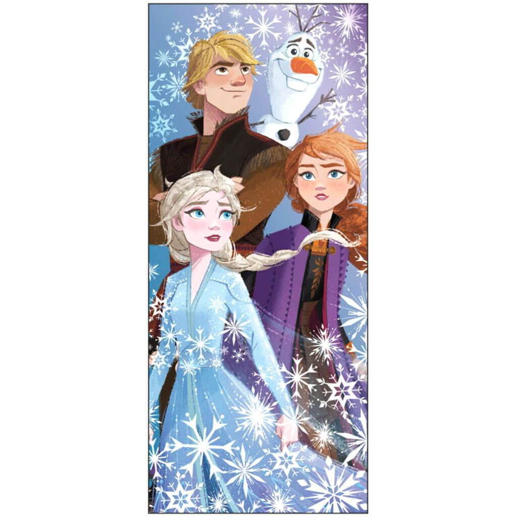 Disney Frozen 2 Party Door Poster Decoration 27in x 60in