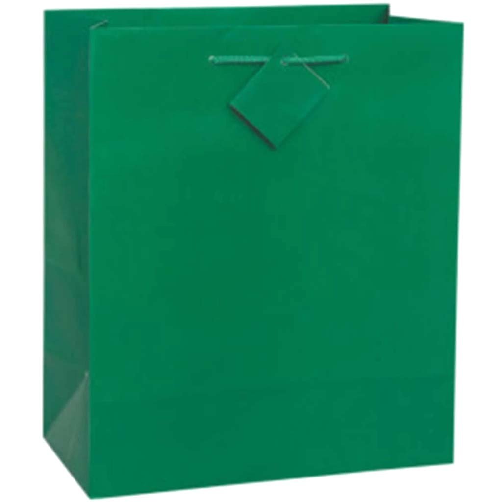 Solid Primary Giftbag Green