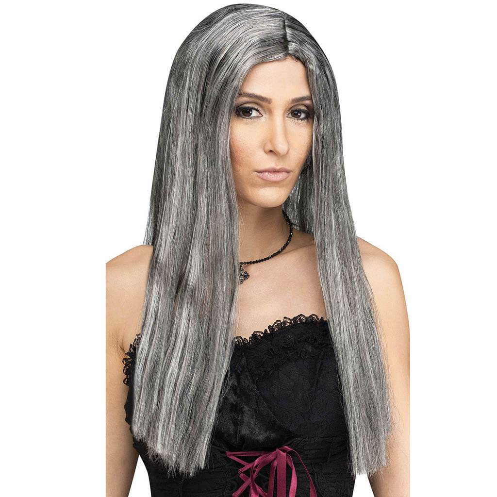 Long Locks Wig 25in