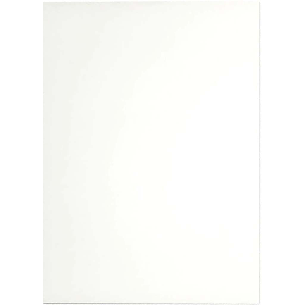 Premium Poster Board 22in x 28in White