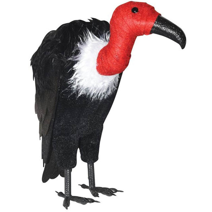 Vulture