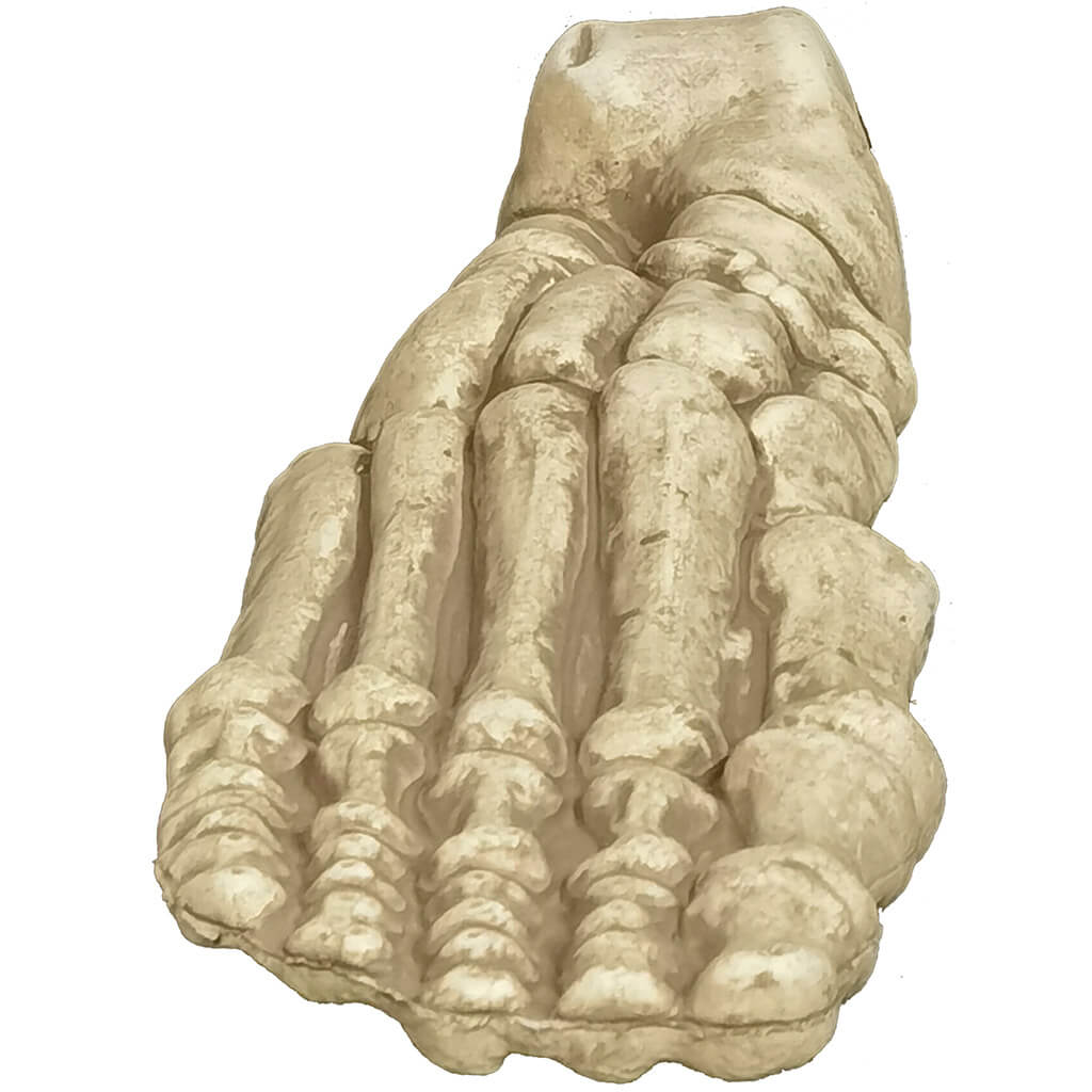 Tabletop Bone, Feet