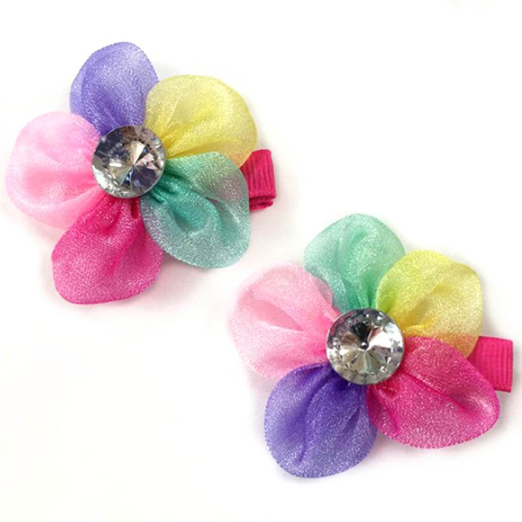 Two Rainbow Flower Barrette Set