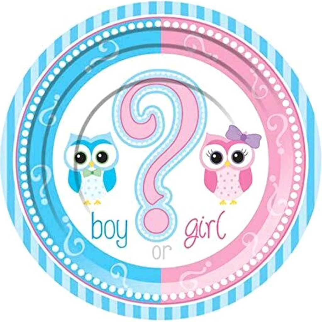 Gender Reveal Dessert Paper Plates 8ct