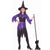 Spider Witch Costume