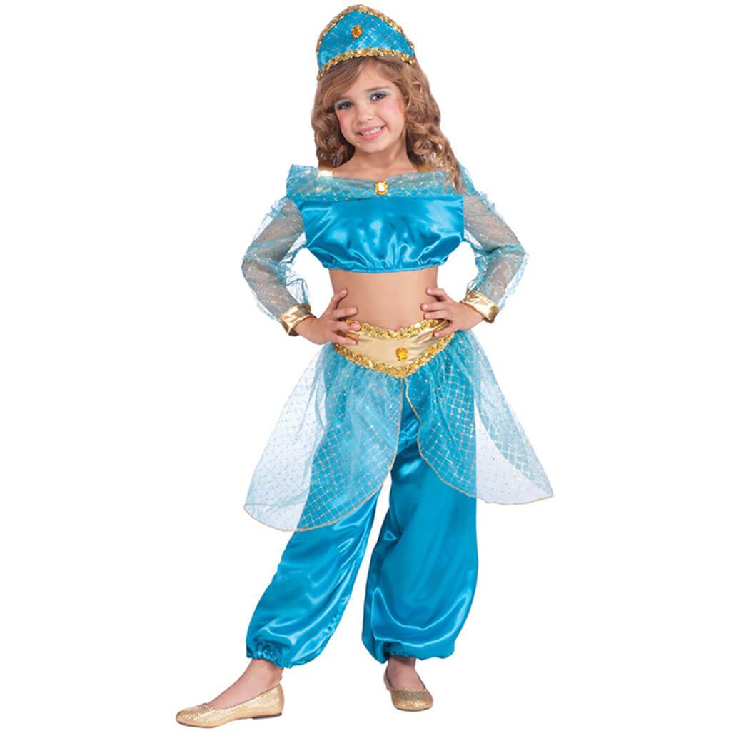 Arabian Princess Costume