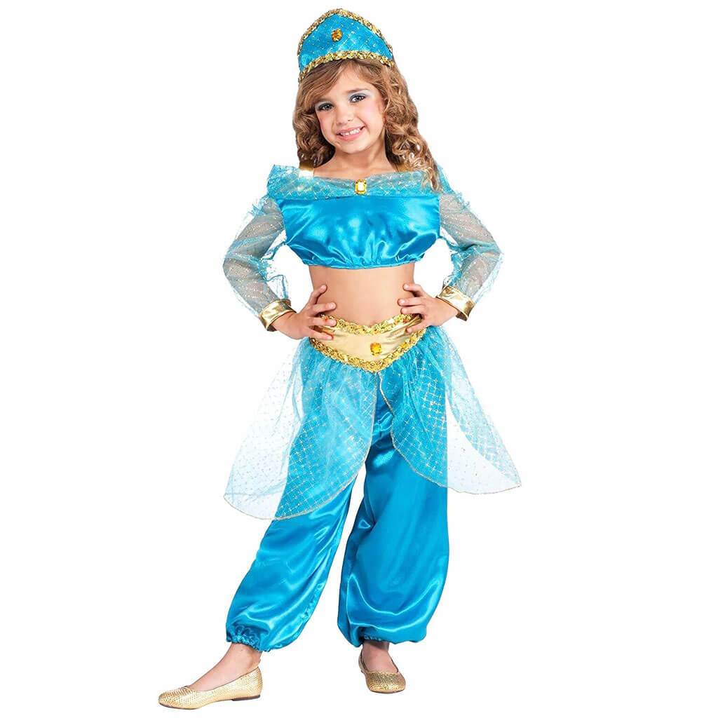 Arabian Princess Costume