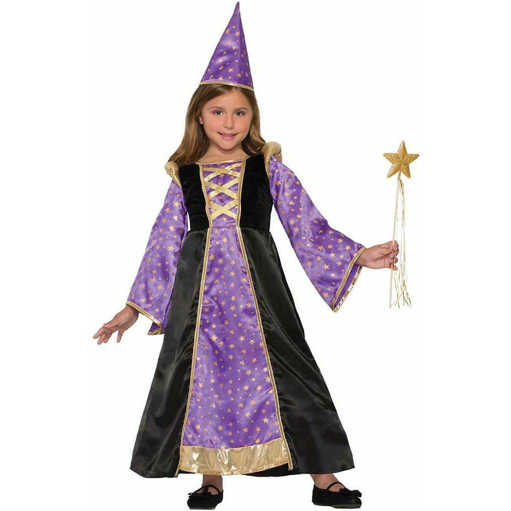 Winsome Wizard Costume