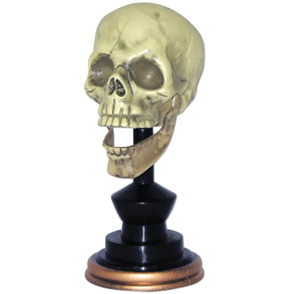 Skulls/Pedestal