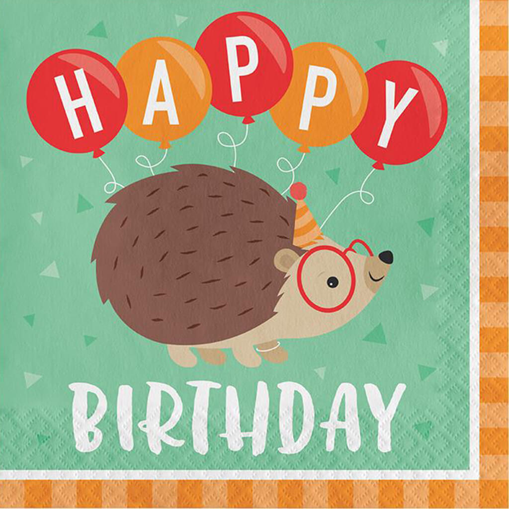 Hedgehog Party Happy Birthday Luncheon Napkins 16ct 2ply