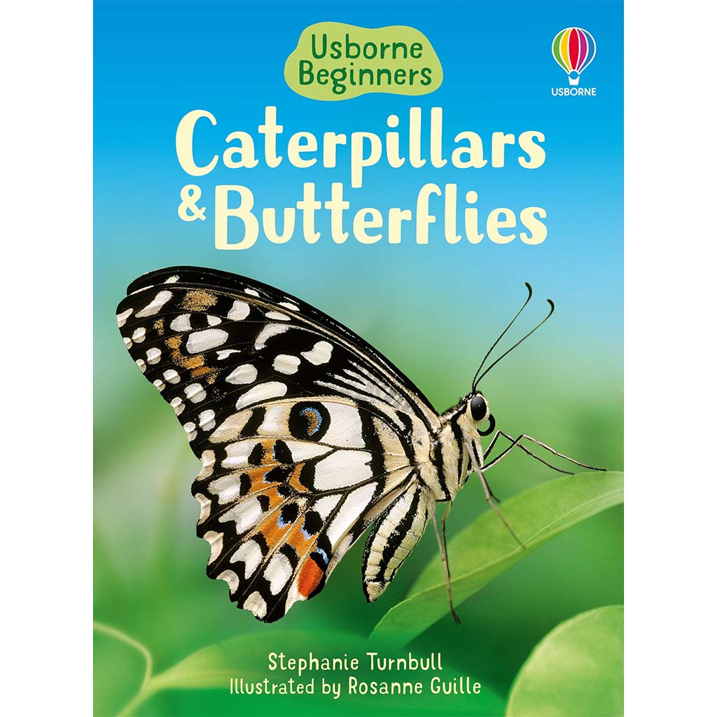 Caterpillars and Butterflies (Beginners Level 1)