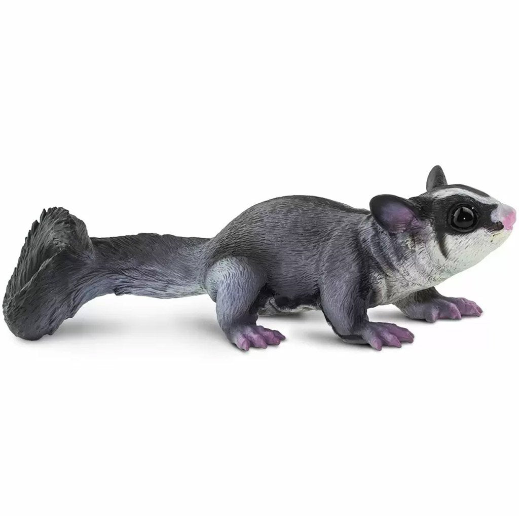 Sugar Glider