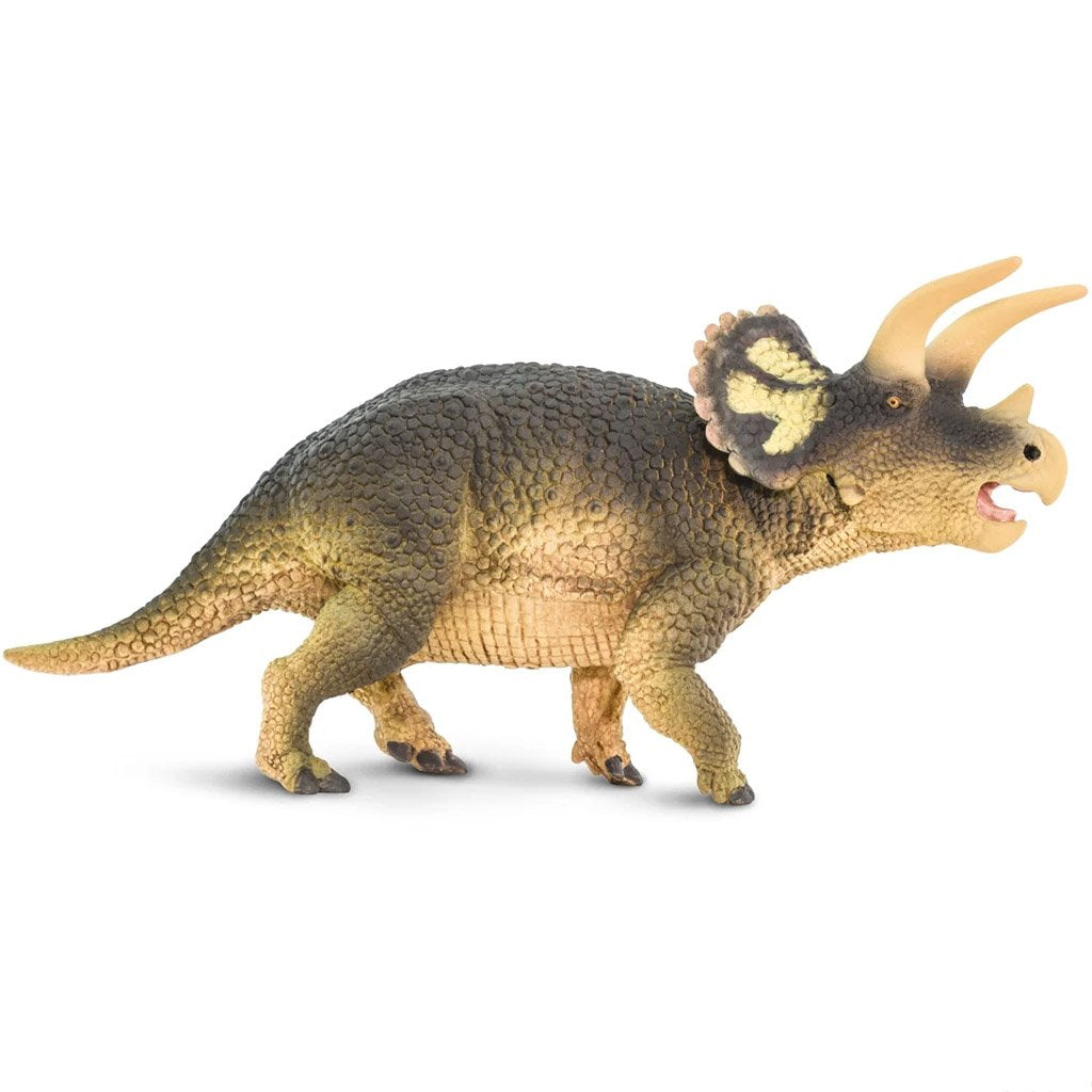 Triceratops Toy