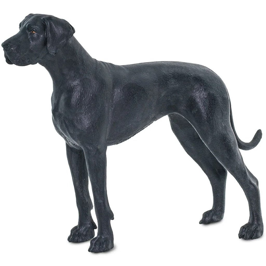 Great Dane