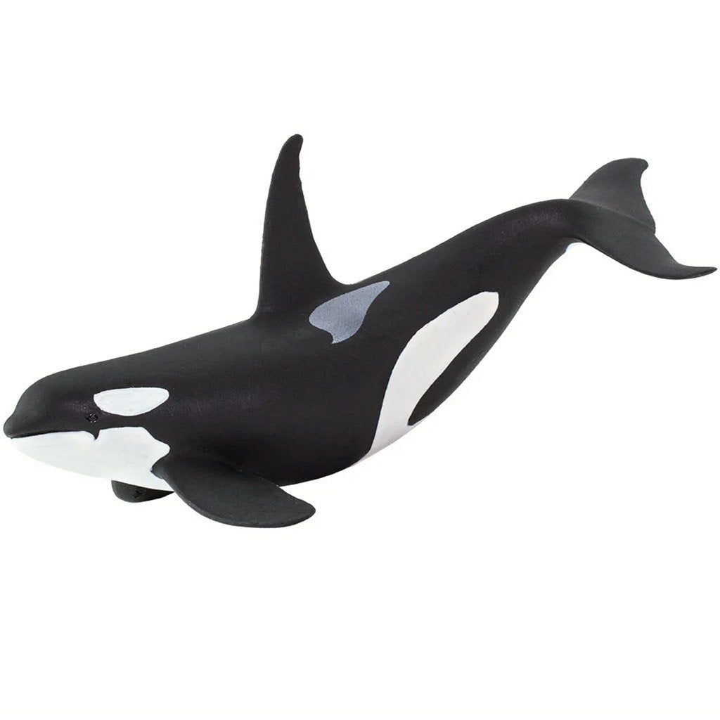 Orca Toy