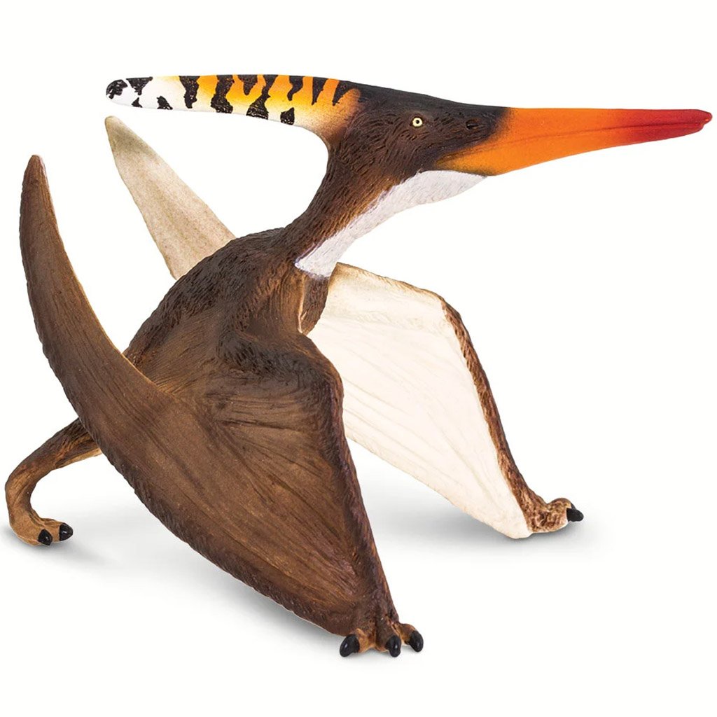 Pteranodon Toy