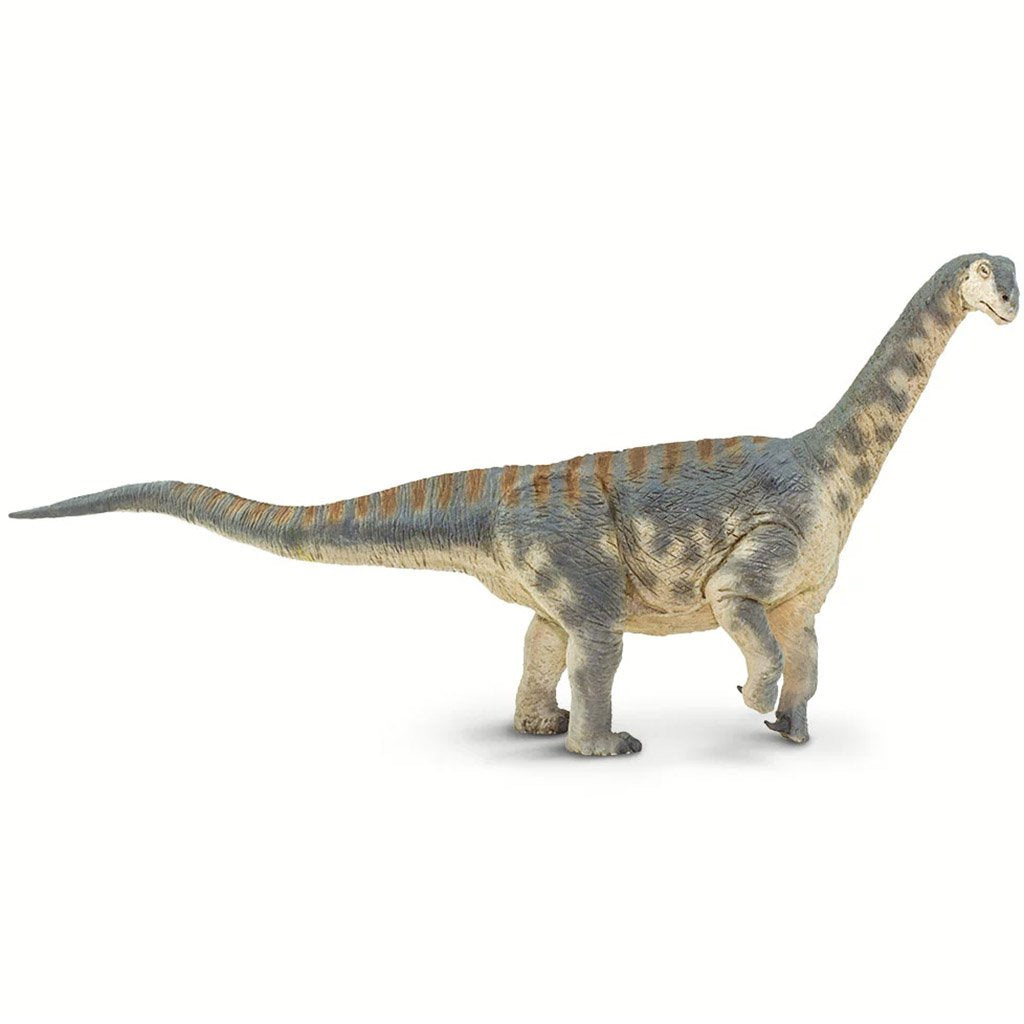 Camarasaurus Toy